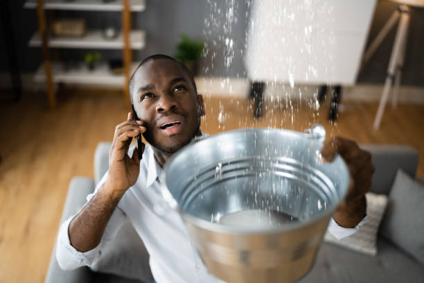 Best 24/7 water damage repair  in Port Wentworth, GA