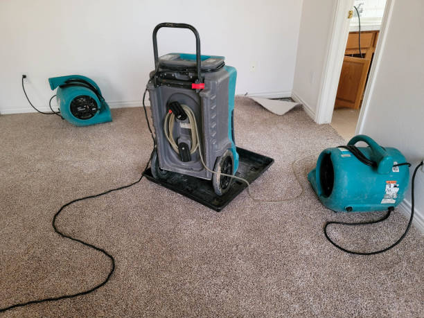 Best Professional water damage repair  in Port Wentworth, GA
