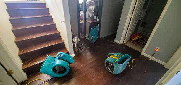 Best Commercial water damage restoration  in Port Wentworth, GA