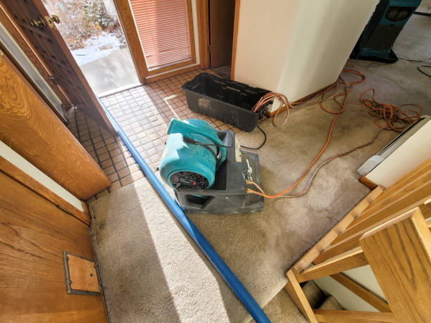  Port Wentworth, GA Water damage restoration Pros