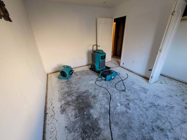 Best Residential water damage restoration  in Port Wentworth, GA