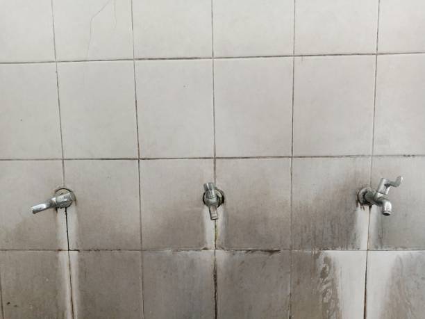 Best Ceiling water damage repair  in Port Wentworth, GA