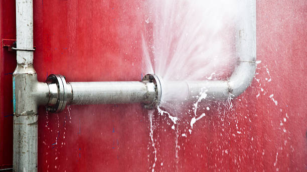 Best Water damage contractors near me  in Port Wentworth, GA